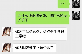 伊川为什么选择专业追讨公司来处理您的债务纠纷？